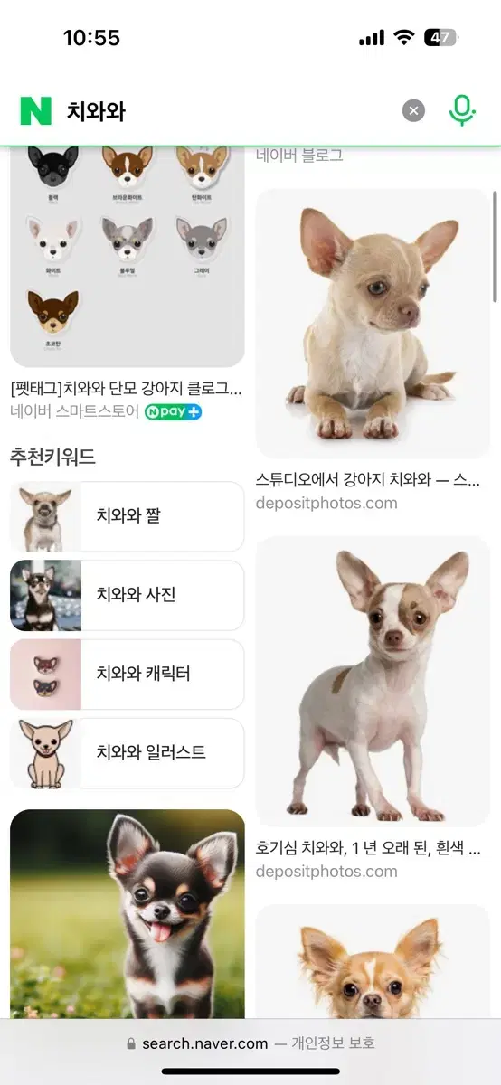 감쟈님 물건이요